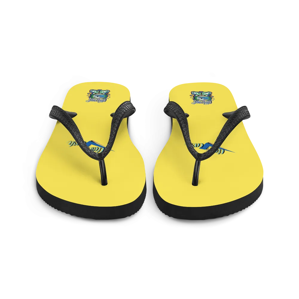 Flip-Flops