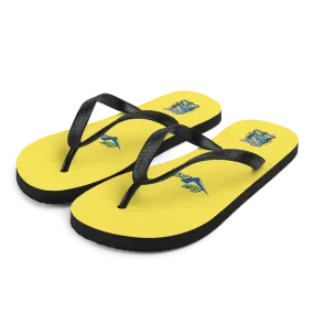 Flip-Flops