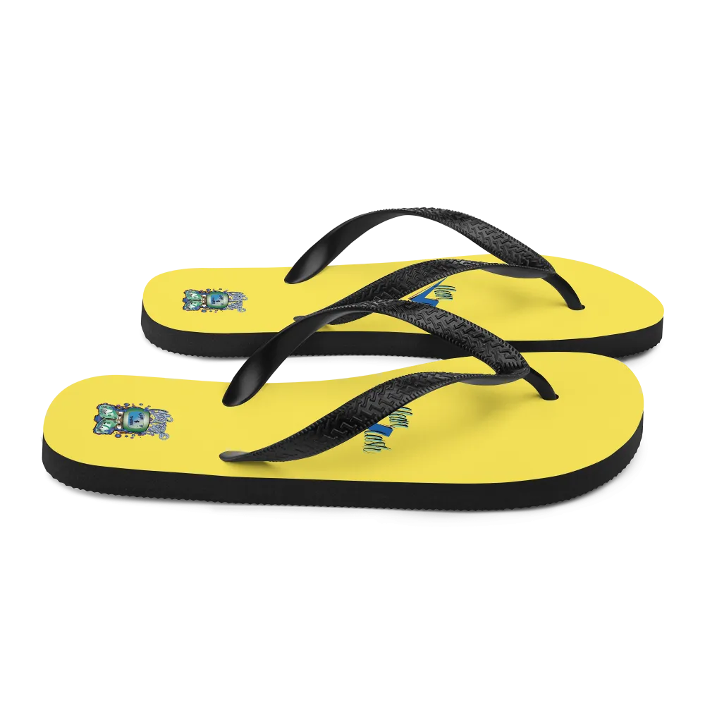 Flip-Flops